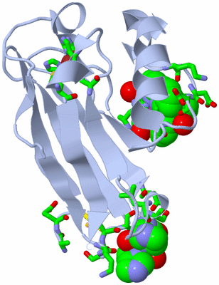 Image Biol. Unit 1 - sites