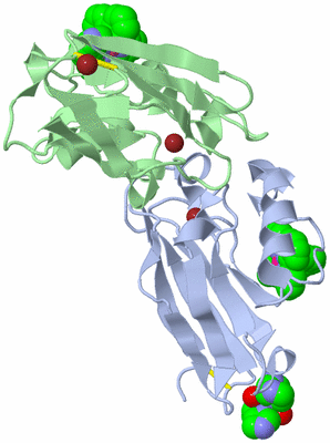 Image Biological Unit 4