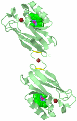 Image Biological Unit 5