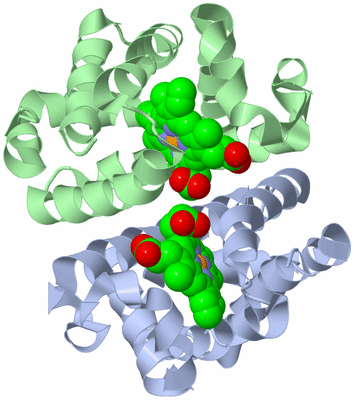 Image Biological Unit 1