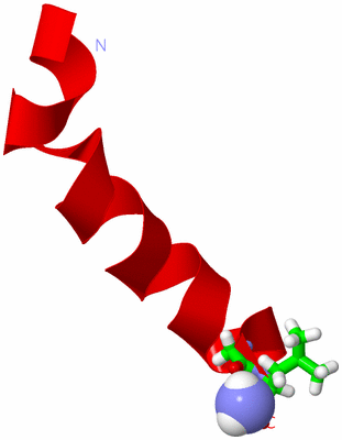 Image NMR Structure - model 1, sites