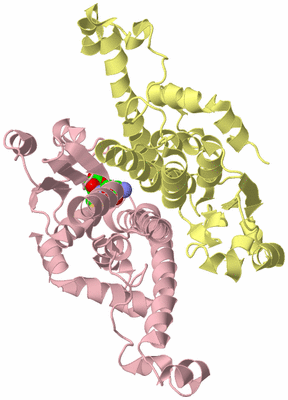 Image Biological Unit 2