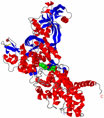 Image Asym./Biol. Unit