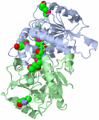 Image Biological Unit 3