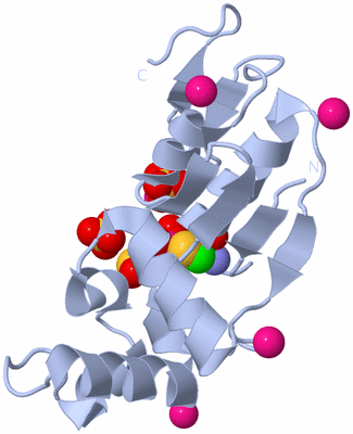 Image Biological Unit 1