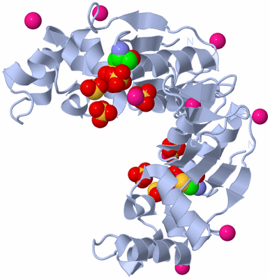 Image Biological Unit 2