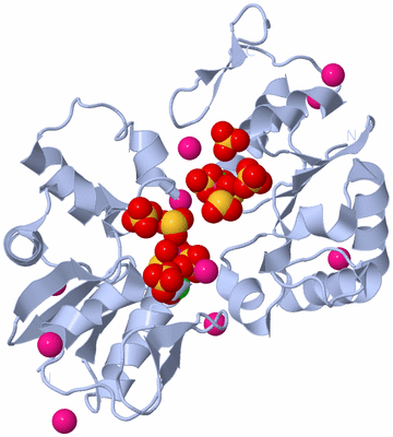 Image Biological Unit 3