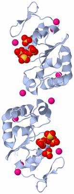 Image Biological Unit 4