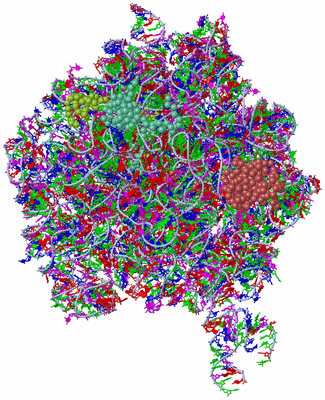 Image Asym./Biol. Unit