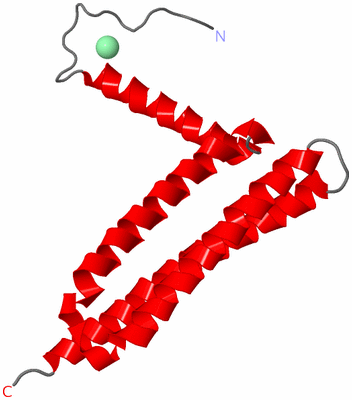 Image Asymmetric Unit