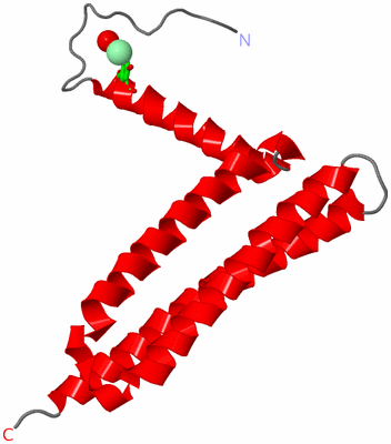 Image Asym. Unit - sites