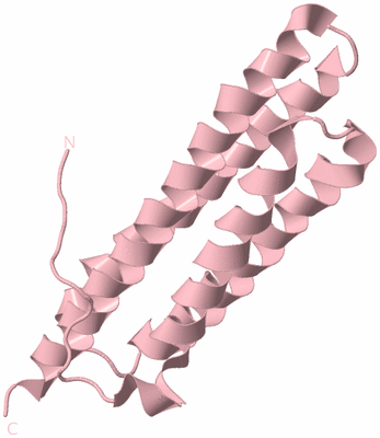 Image Biological Unit 3