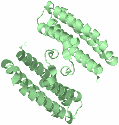 Image Biological Unit 7