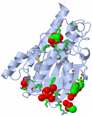 Image Biol. Unit 1 - sites