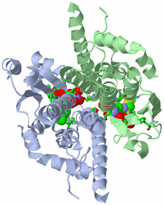 Image Asym./Biol. Unit - sites