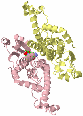 Image Biological Unit 2