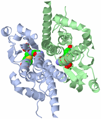 Image Biological Unit 1