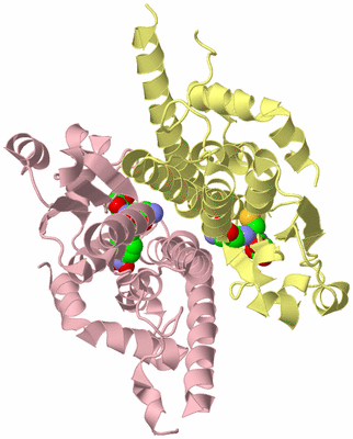 Image Biological Unit 2