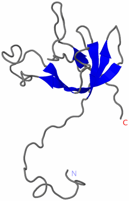 Image NMR Structure - model 1