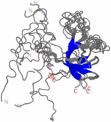 Image NMR Structure - all models