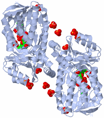 Image Biological Unit 2