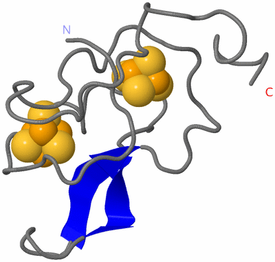 Image NMR Structure - model 1