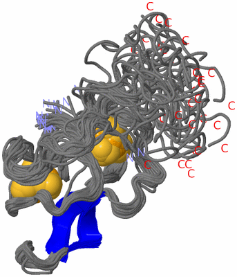 Image NMR Structure - all models