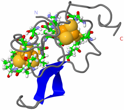 Image NMR Structure - model 1, sites