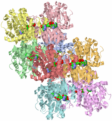 Image Asymmetric Unit