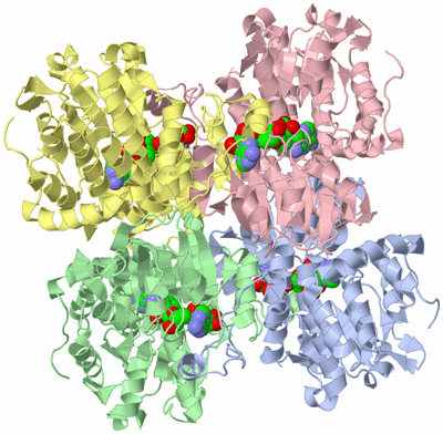 Image Biological Unit 1