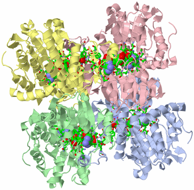 Image Biol. Unit 1 - sites