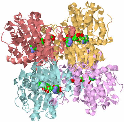 Image Biological Unit 2