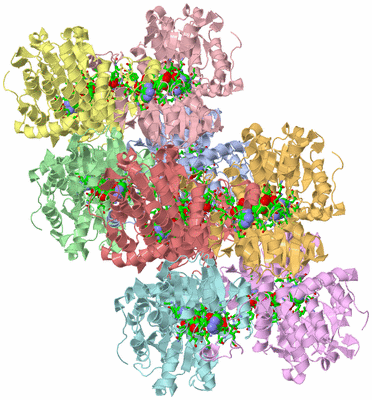 Image Asym. Unit - sites