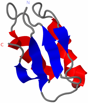 Image NMR Structure - model 1