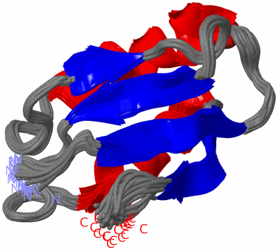 Image NMR Structure - all models