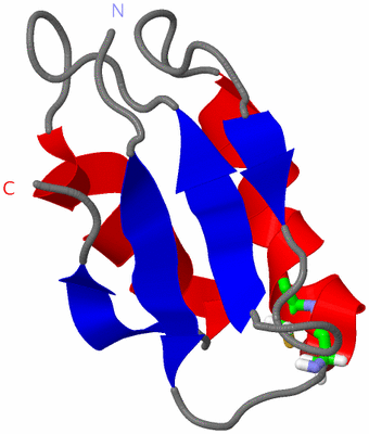 Image NMR Structure - model 1, sites