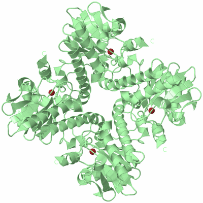 Image Biological Unit 2