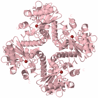 Image Biological Unit 3