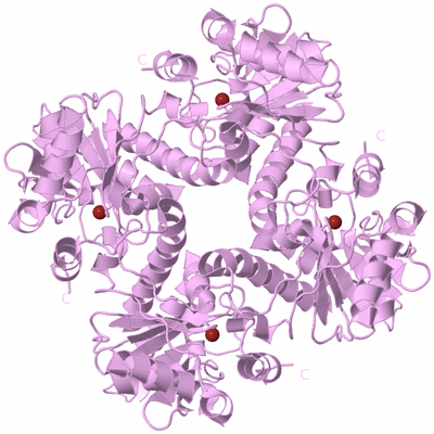 Image Biological Unit 5