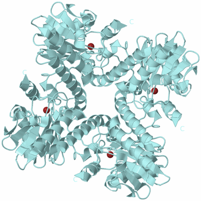 Image Biological Unit 6