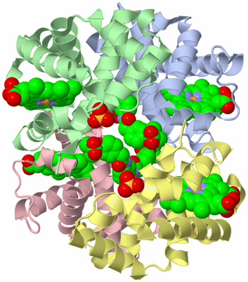 Image Asym./Biol. Unit