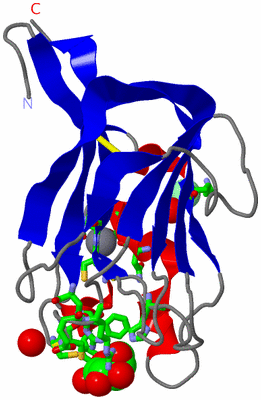 Image Asym./Biol. Unit - sites