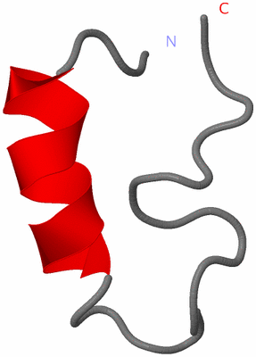 Image NMR Structure - model 1