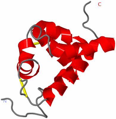 Image NMR Structure - model 1