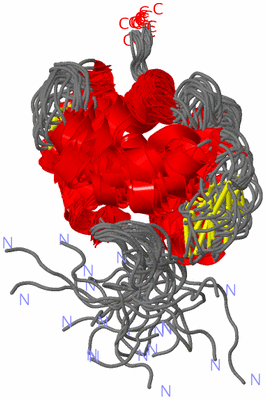 Image NMR Structure - all models