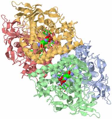 Image Biol. Unit 1 - sites