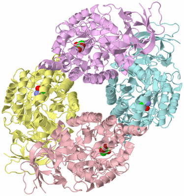 Image Biological Unit 2