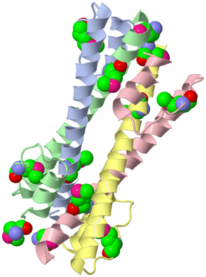 Image Biological Unit 1