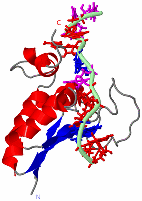 Image NMR Structure - model 1