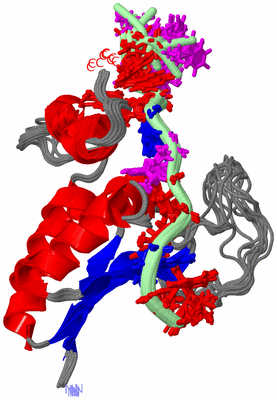 Image NMR Structure - all models